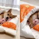 365 마음동물병원 이미지