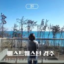 베스트올편의점 | 경주 감포 숙소 베스트웨스턴 경주 디럭스 패밀리룸 내돈내산 후기