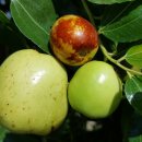 내고향서천 이미지