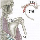 방당쥬 - 15691 | 방당쥬