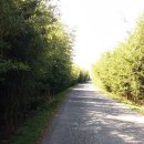 담양오방길5코스(누정길) 이미지