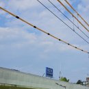 대진택시(주) | 묵호 당일치기 (feat. 오징어순대, 문어닭강정 대진해수욕장 폐장 후 물놀이, 도째비골 스카이밸리) 250830