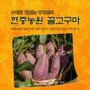 현중농장 이미지