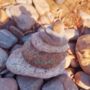 남면 안도 매표소 화장실 | 영월 가볼 만한 곳 단종 유배지 왕과 사는 남자 촬영지 청령포 배시간 소요시간 정보 후기