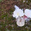 페이퍼플라워 힐링 클래스 이미지