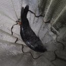 봉림낚시터 이미지