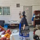 마음을 치유하는 독서치료 (상) | 의정부 점집, 인생의 안갯속에서 빛을 비춰준 단하신궁 방문 후기