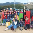 팀21 이미지