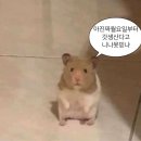 UX/UI 디자인 학원 정보 늪에 빠지다!! (학원 서칭중이라면 필독!)