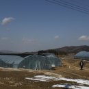 새동네농장 이미지