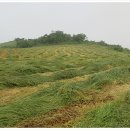 두산목장 이미지