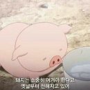 주래 이미지