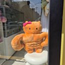 올림핏 헬스클럽(PT샵) | 용인 죽전PT 9개월 후기 휘트니스클럽S 죽전점 김효권 트레이너 와의 운동 대장정