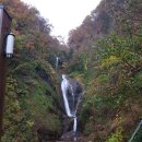 봉래약국 이미지