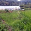 성애농장 이미지