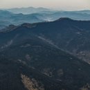 산불