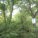 고창남중학교 이미지