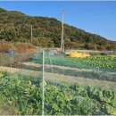 개천안주말농장펜션 이미지