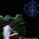 역사교육 네이버블로그