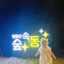 장령산자연휴양림 | 충북 옥천 장령산 자연휴양림 숲속동굴 방문후기