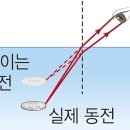 빛의파동 티스토리