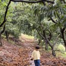 주밤농장 이미지