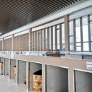 스파렉스 이미지