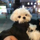 만박동물병원 이미지