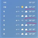 자연모두 이미지