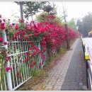 인천공촌초등학교 이미지