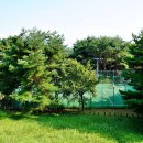 솔밭공원 농구장 이미지