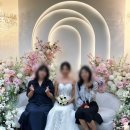 무료 웨딩협찬 혀니웨딩카페 실제 이용 웨딩카페추천 후기