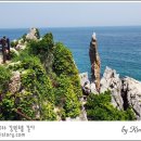 동해바다반건조 티스토리