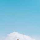 은미목장 이미지