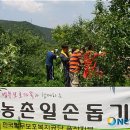 김영섭 농장 이미지