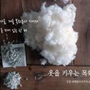 목화옷