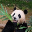 큰우리본점 이미지