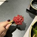 세븐일레븐 광주상무2지구점 | 상무지구 고기집 상무지구 맛집 광주 서구 고기집 : 우정관 일품한우 (+환갑잔치 후기)