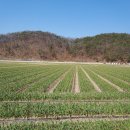 놀골농장 이미지