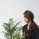 벨로아피오리