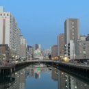 하단포비 이미지