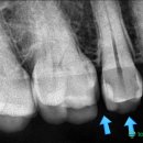 이사이치과의원 이미지