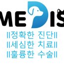 메디스동물병원 이미지