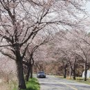 주산 이미지