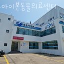 송도 아이본 동물의료센터 | 인천 동춘동 동물병원 송도아이본동물의료센터 위치 오는길 후기