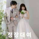 테일러쇼핑