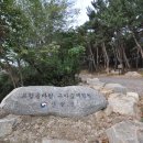 솔바람 유아숲체험원 이미지