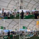 선유식당 | 2026 안동국제탈춤페스티벌 총정리! 일정 주차 콘서트 라인업 선유줄불놀이 작년 먹거리 후기