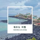 맑음한의원 | ⛰️ 제주도 여행 3-2 | 이호테우해변, 몽그레, 제주맑음