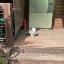 다옴 햇골 캠핑장 이미지